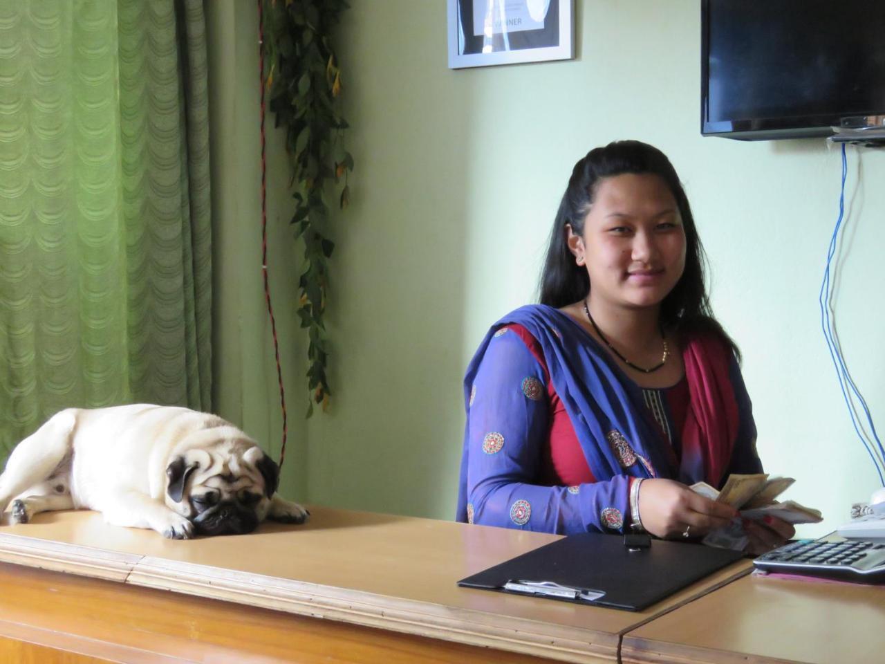 Stupa Guest House Kathmandu Luaran gambar